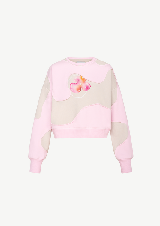 Double Color Logo Sweatshirt